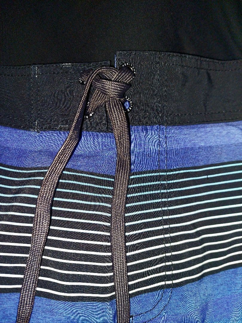 フィジーク　ステージショーツ　サーフパンツ　ボードショーツ　alton 激レア