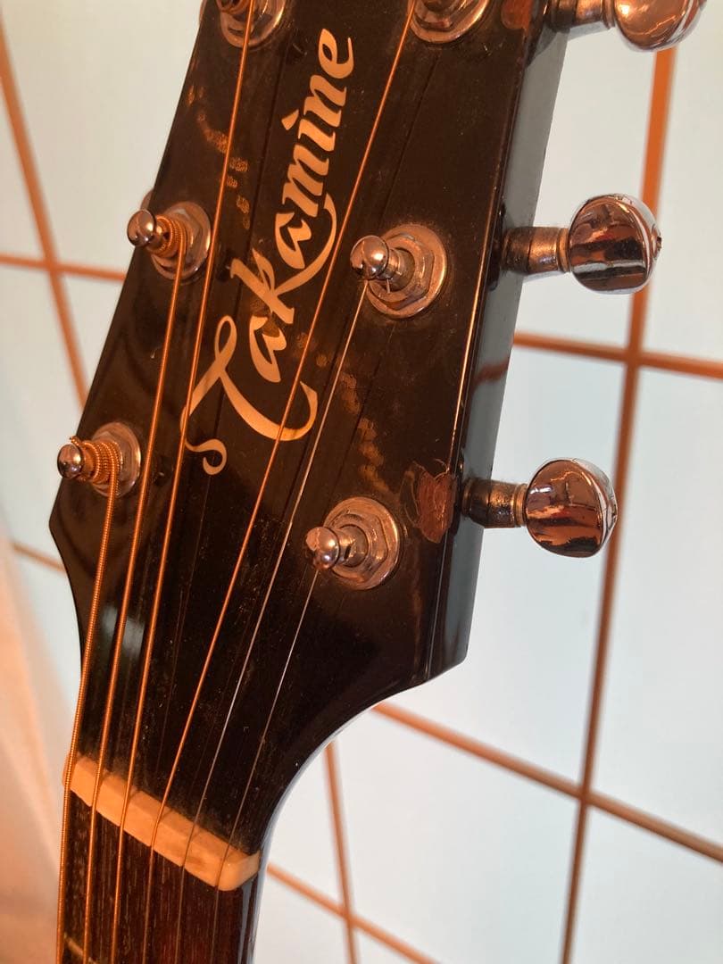 Takamine アコースティックギター pt 105