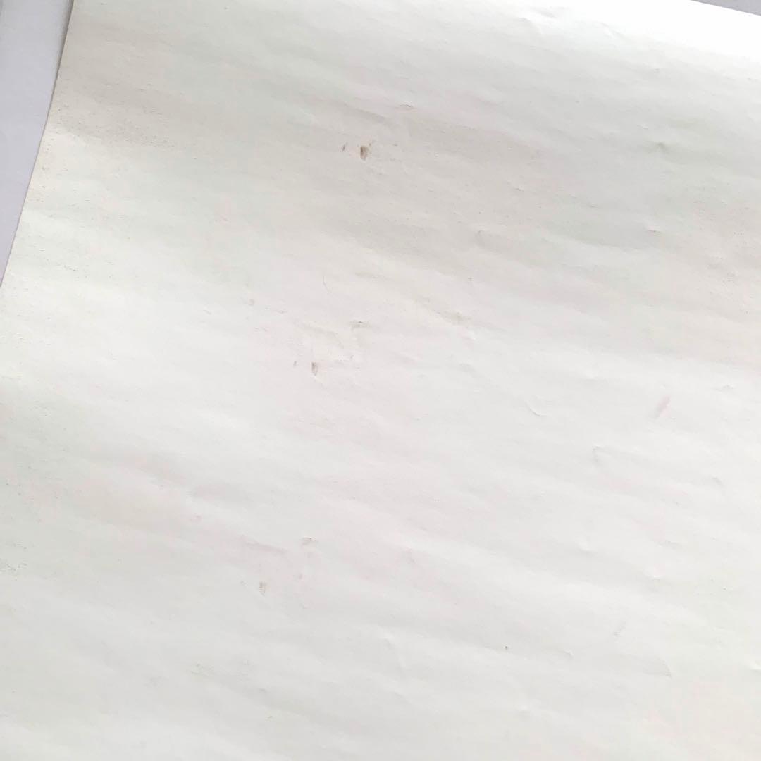 Aimer　Torches　ポスター　直筆サイン入り