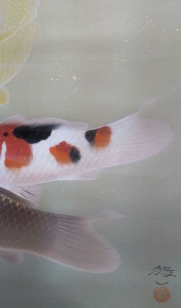 「遊鯉」太田龍一 掛軸 太巻き桐箱 二重箱入