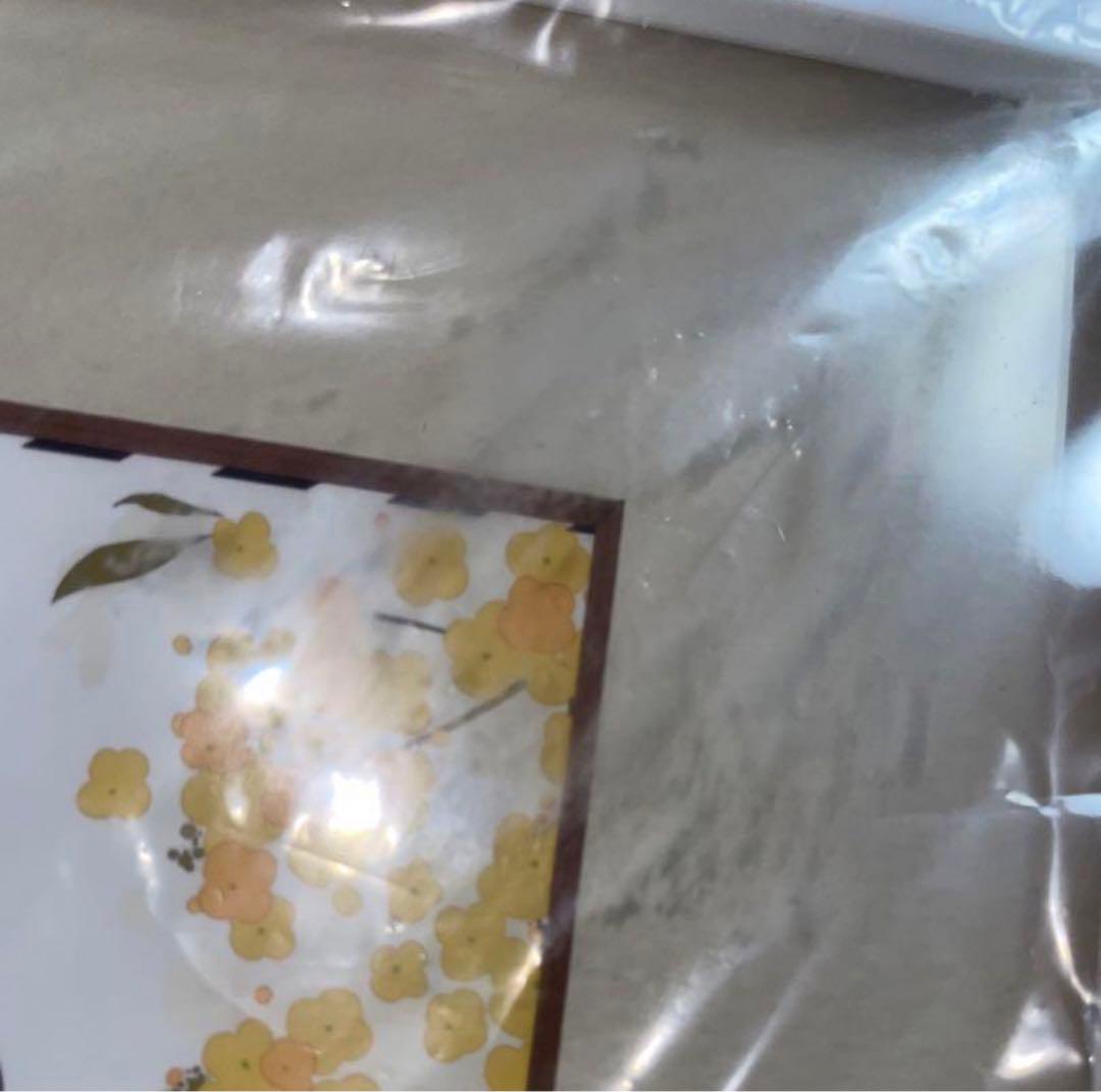 赤倉 チョコケーキ6姉妹 直筆サイン入り A4 サイズ キャラファイングラフ