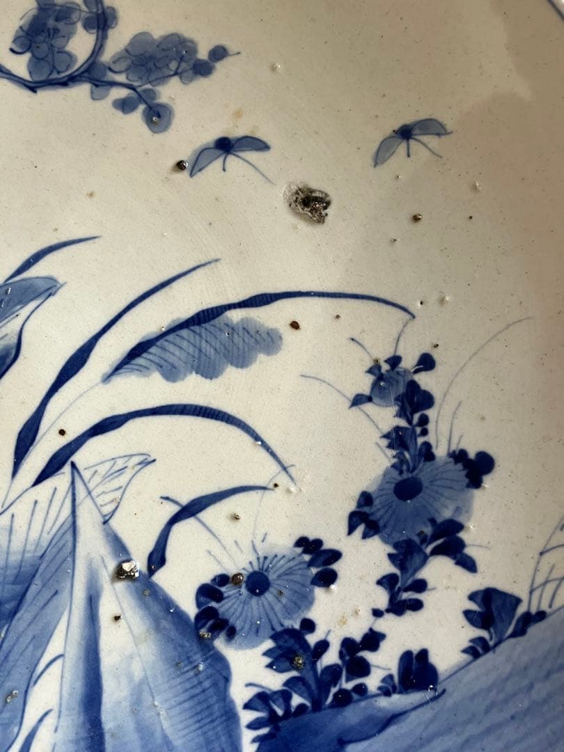 白地手描大皿 植物柄