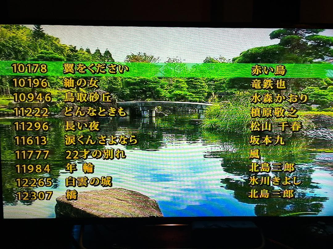 カラオケ一番 カラオケ１番 YK-3008 チップ カートリッジ 100曲