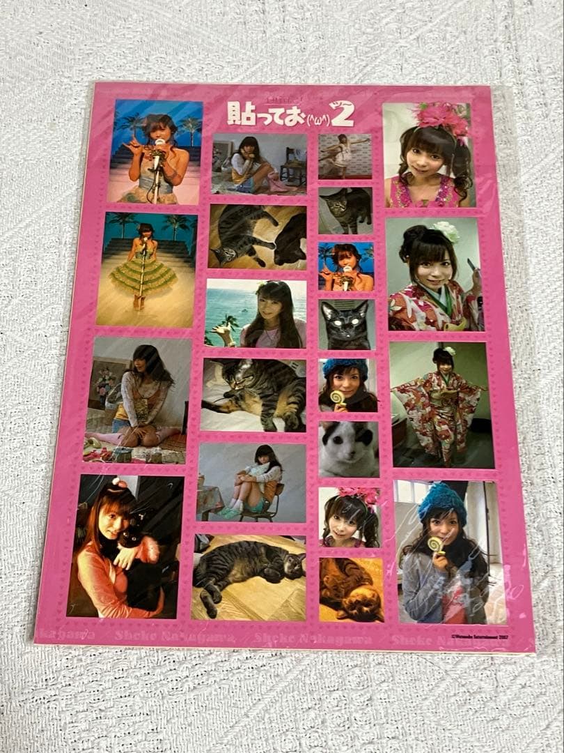 中川翔子　しょこたん　グッズと会報セット