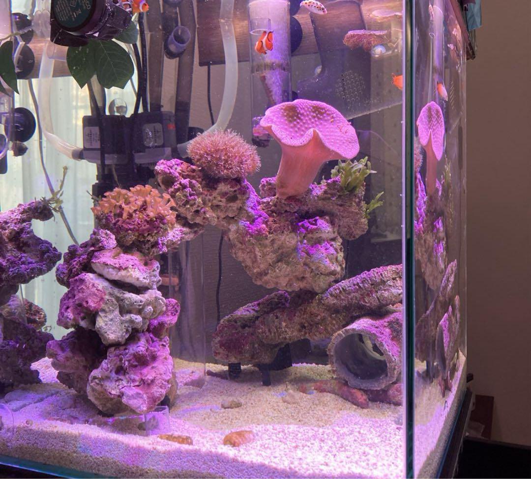 garo値下げ！コトブキ　水槽　水槽台　外部フィルター　まとめセット