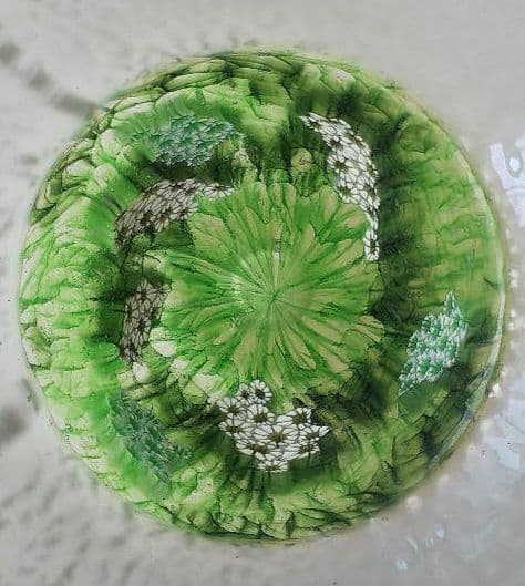 ★花のムリーニと銀箔★インカルモ茶碗