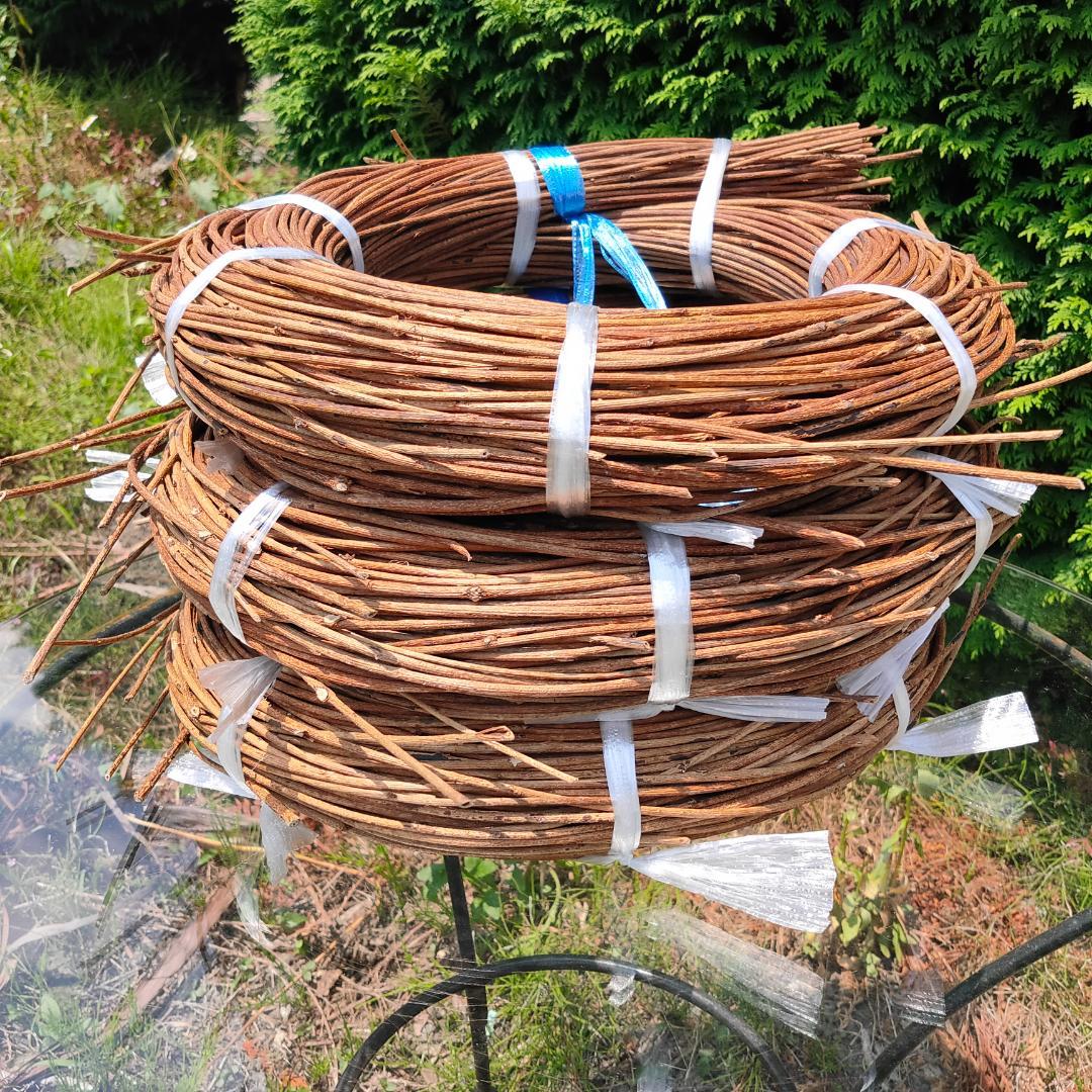 (委託品)青森県岩木山採取　あけび蔓　150cm～　3kg