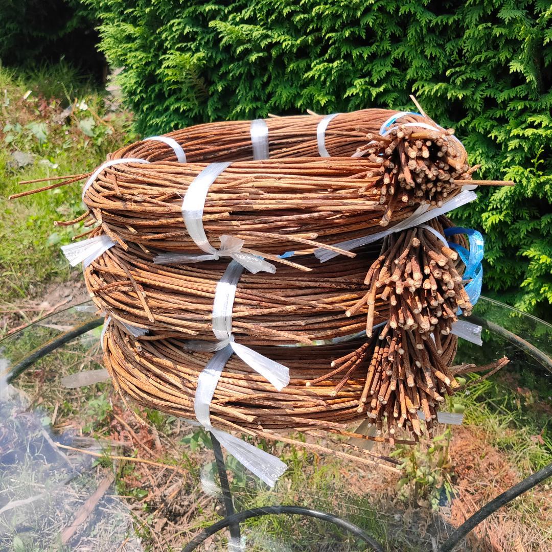 (委託品)青森県岩木山採取　あけび蔓　150cm～　3kg