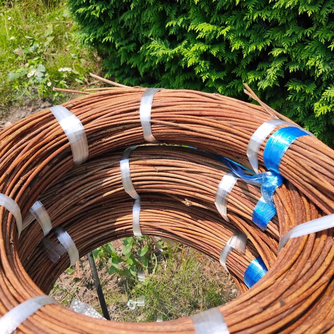 (委託品)青森県岩木山採取　あけび蔓　150cm～　3kg