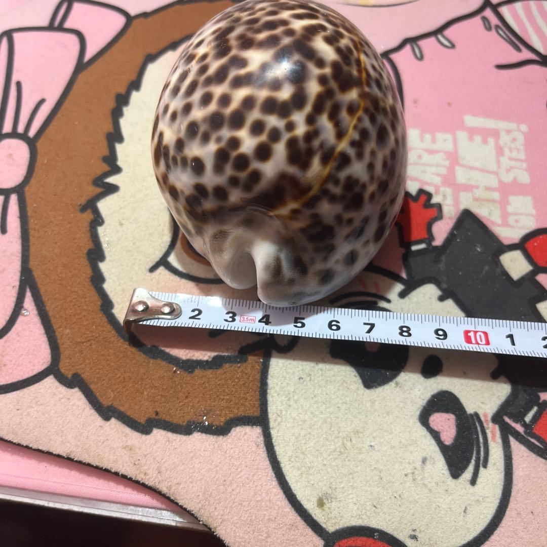 まーくんさん専用