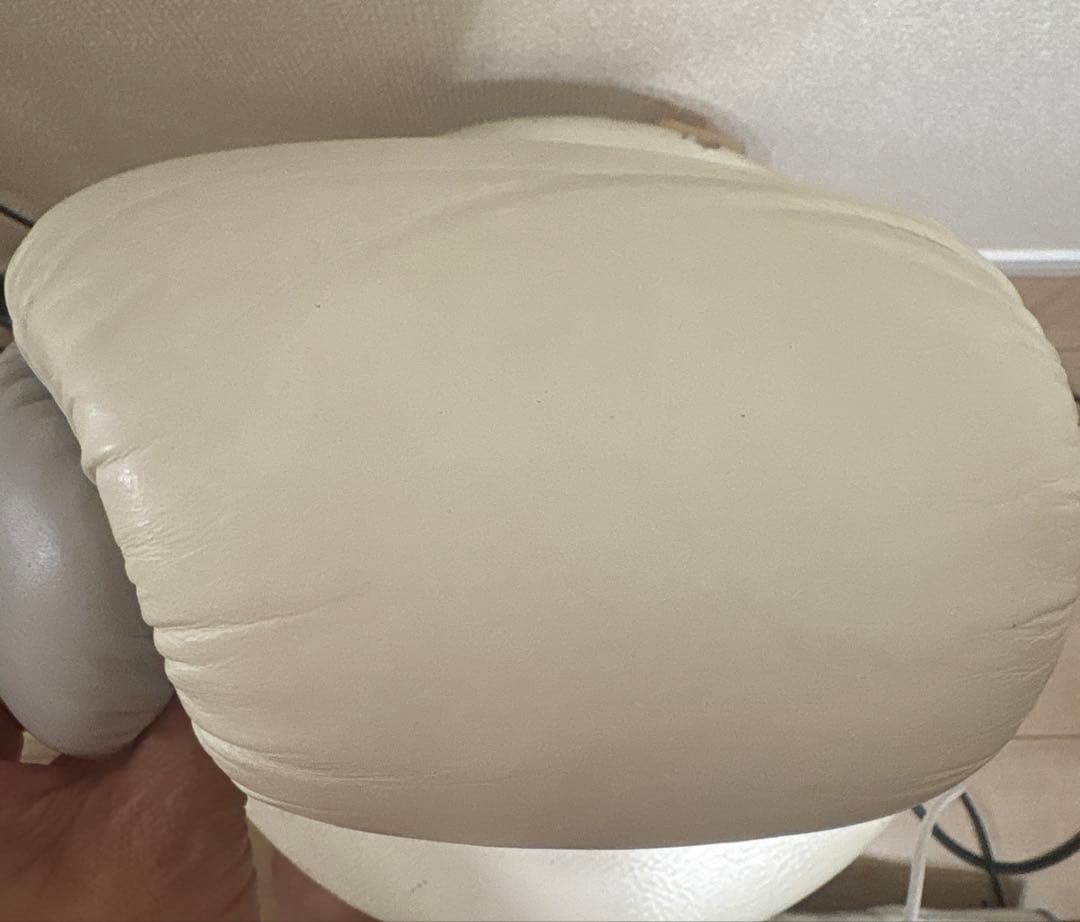 【ライス】EVERLAST ボクシンググローブ ホワイト