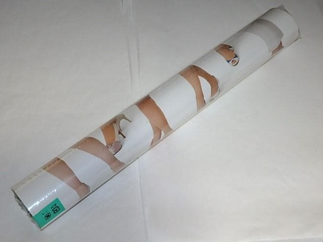 ★カレンダー　2017年NHK気象予報士　酒井千佳/関口奈美/菊池真以さん