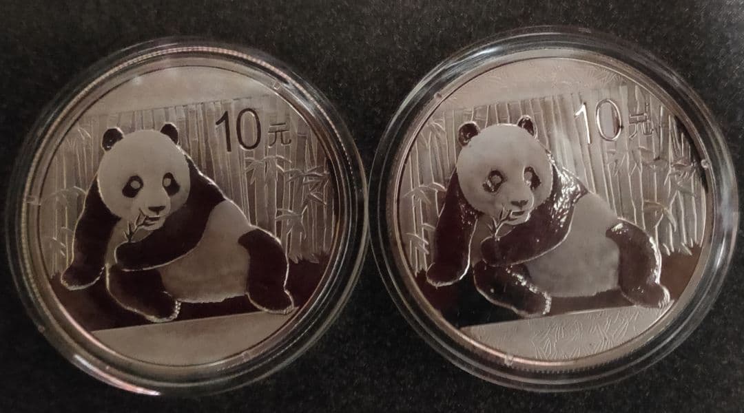 2015年 パンダ銀貨 2枚