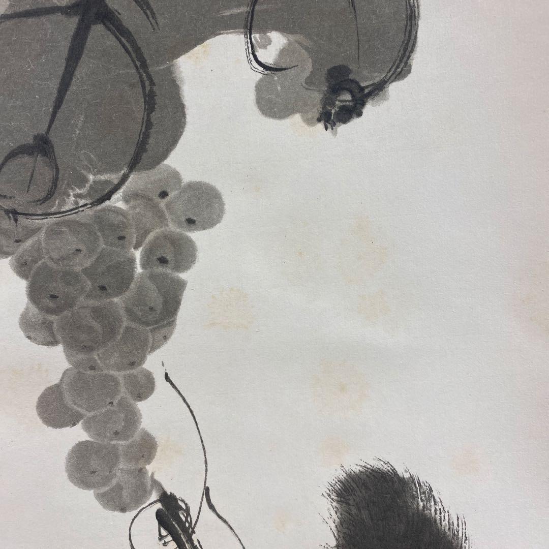 美品 掛け軸 伊藤若冲・有馬頼底合作「葡萄栗鼠・芦花翡翠」2本セット 毎日新聞