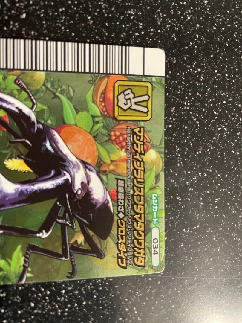 ト*ン様 ムシキング　5周年　マンディブラリスフタマタクワガタ　26