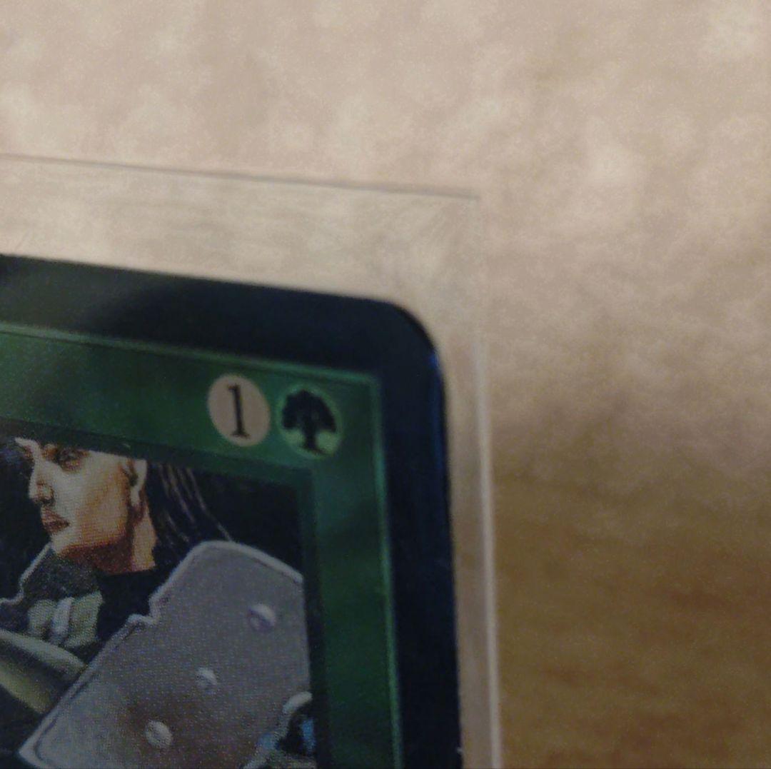 MTG【大地の知識】テンペスト　日本語