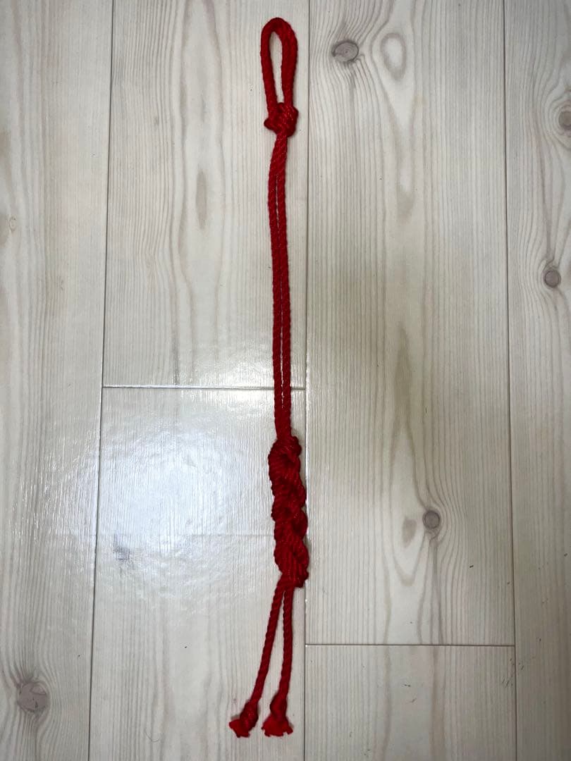 【レア・新品未使用】Hajime Kinoko 約63cm