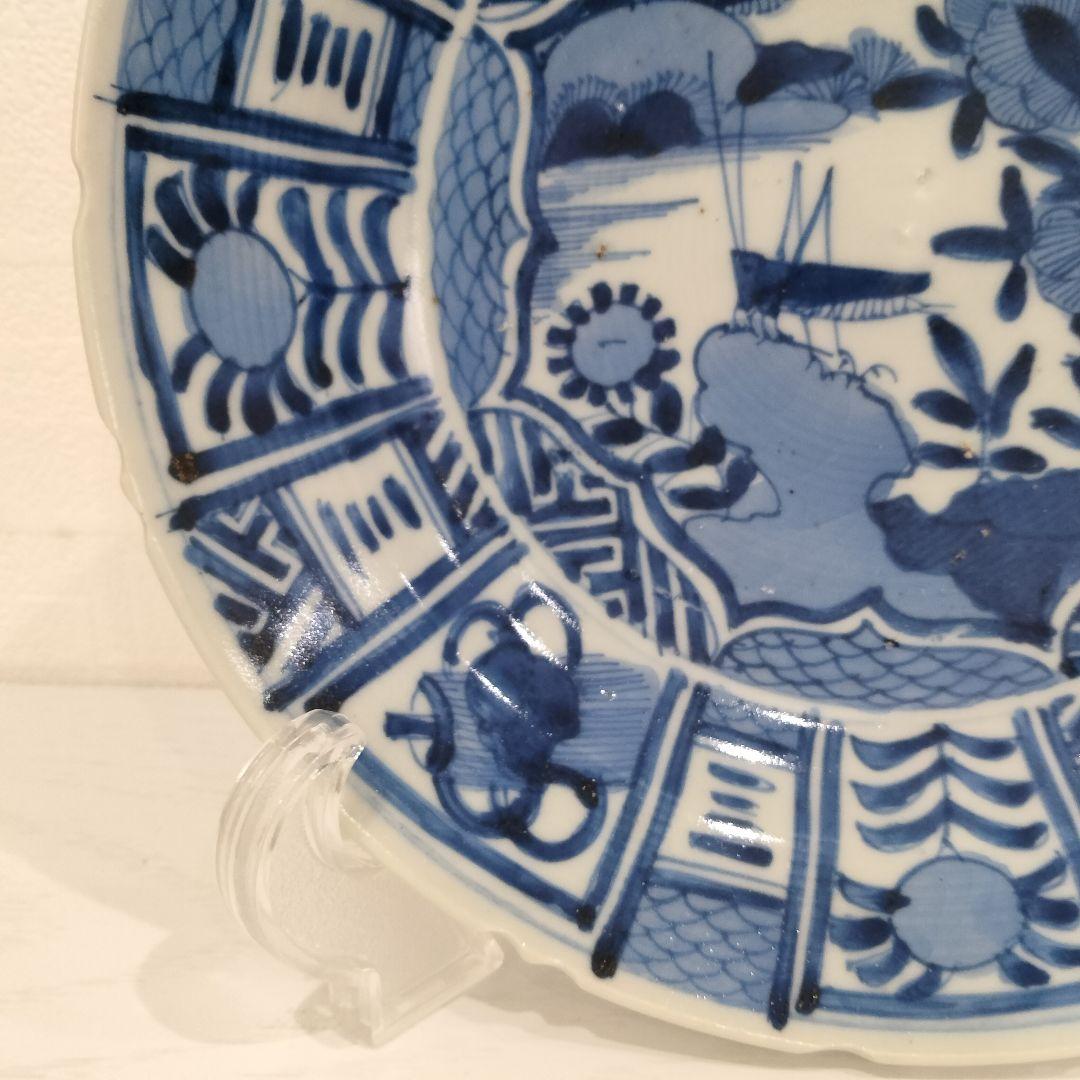 u348-5　中国 清朝期 古染付 芙蓉手 飛蝗文大皿 時代唐物　Q