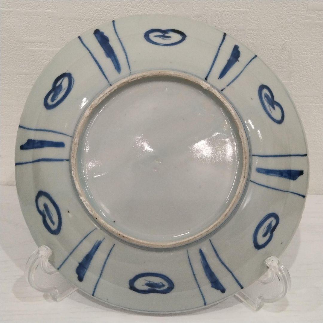 u348-5　中国 清朝期 古染付 芙蓉手 飛蝗文大皿 時代唐物　Q