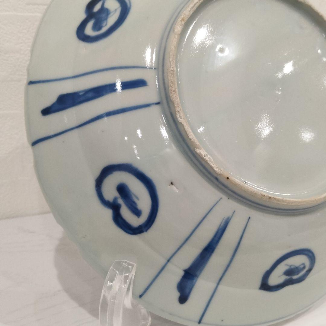 u348-5　中国 清朝期 古染付 芙蓉手 飛蝗文大皿 時代唐物　Q