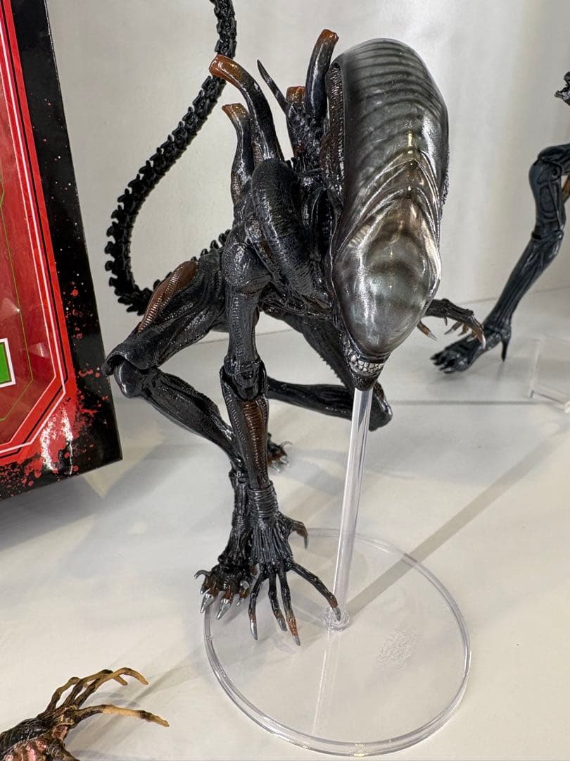 ネカ　エイリアン　ロムルス　スコーチドゼノモーフ　豆魚雷