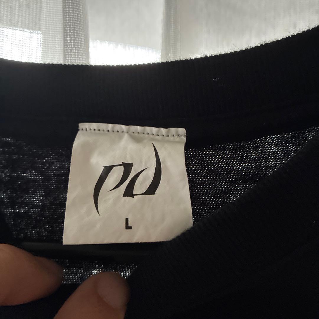 PALEDUSK WEIRDER THAN YOU THINK Tシャツ L