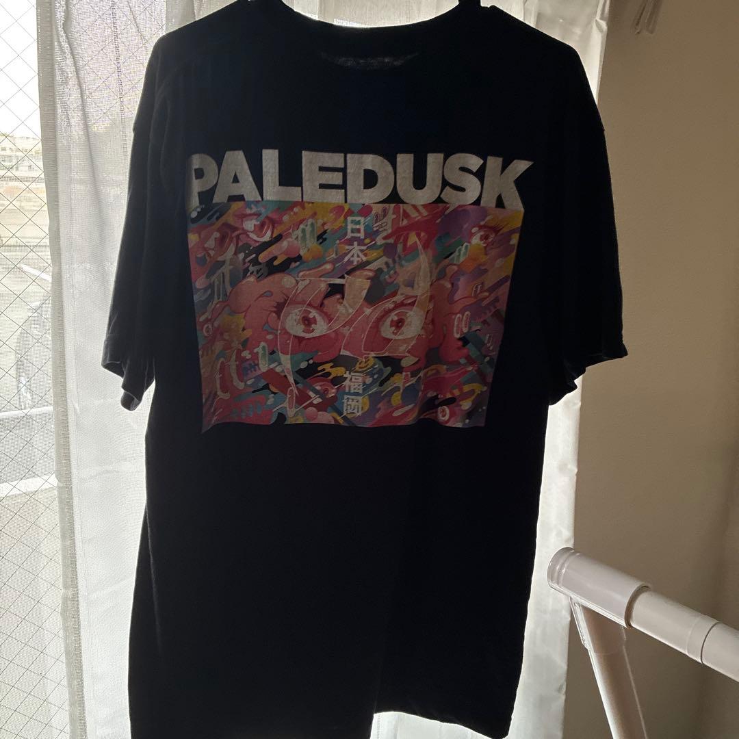 PALEDUSK WEIRDER THAN YOU THINK Tシャツ L