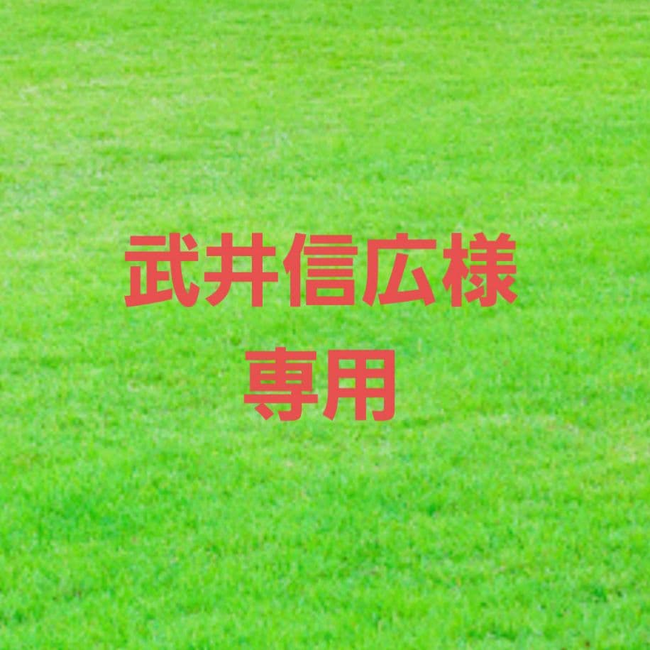 【25日迄】武井信広　L判　18枚