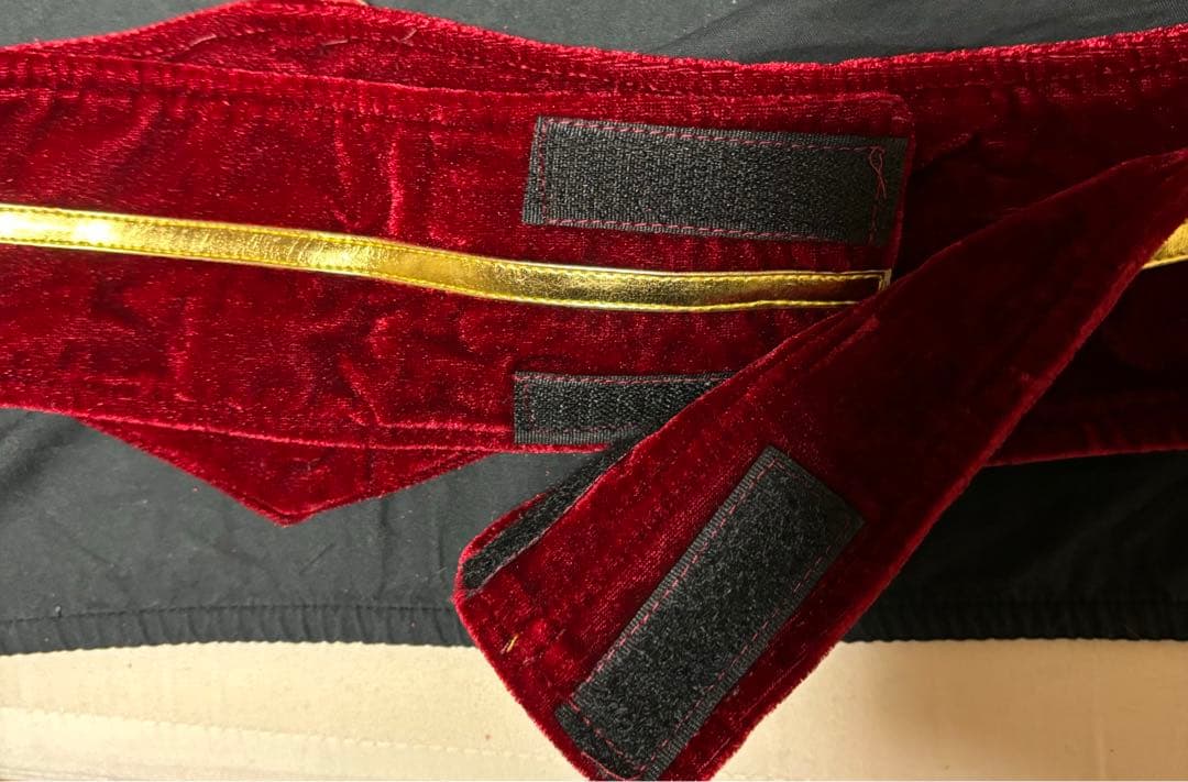 【レア】 仮面ライダー リバイス デッドマンズ アギレラ コスプレ 衣装