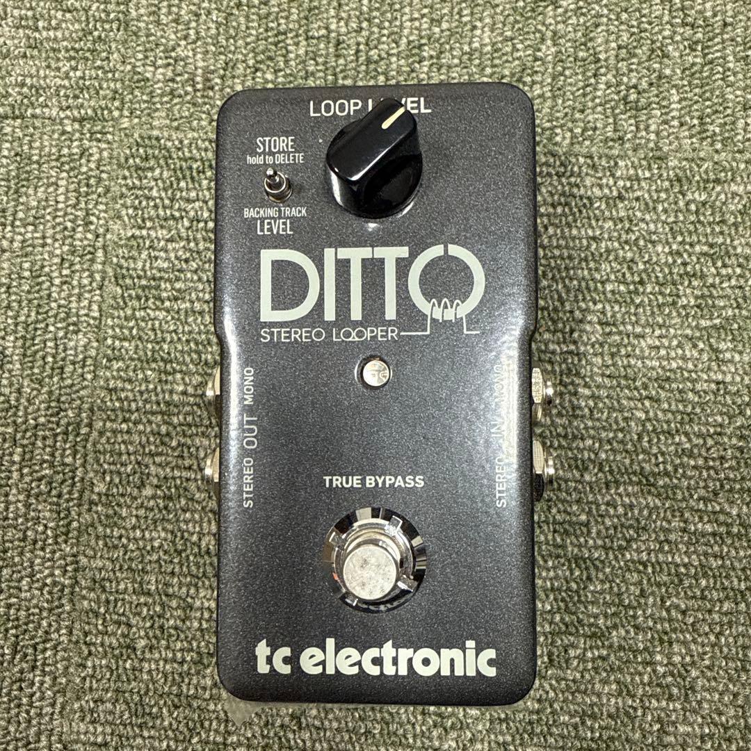 ギター tc electronic DITTO STUDIO LOOPER