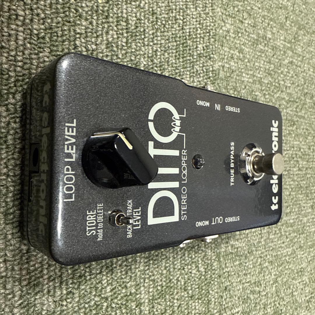 ギター tc electronic DITTO STUDIO LOOPER