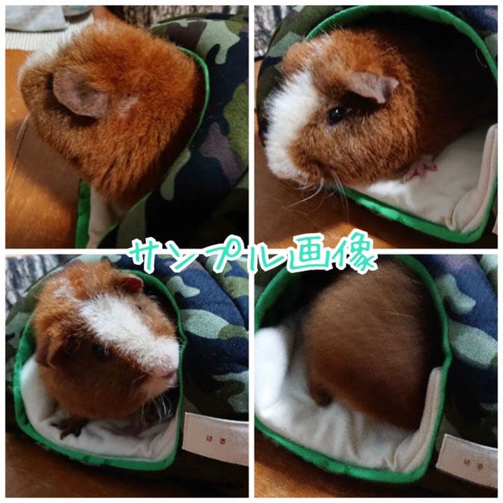 〜サンプル画像〜