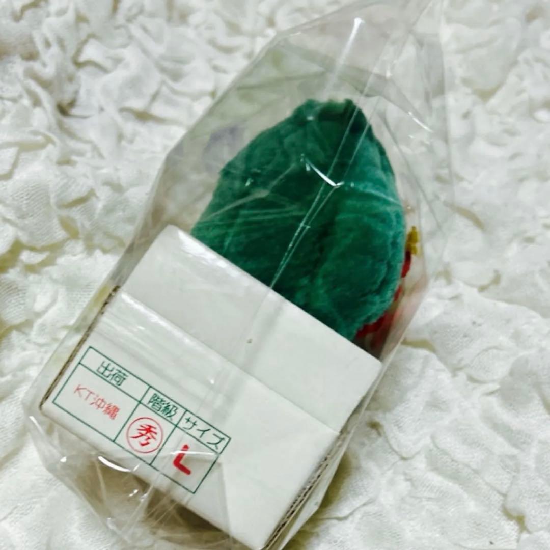 希少 ご当地キティ　ハローキティ 沖縄限定　ゴーヤー　ぬいぐるみ マスコット