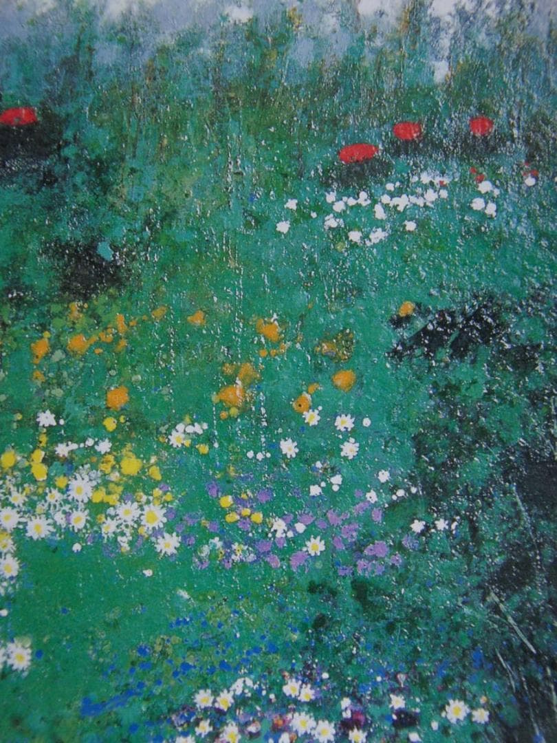 高橋英生、【野の華（眞栄）】、希少な額装用画集より、新品額装付、状態良好