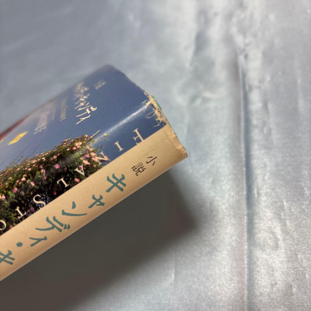 [初版]小説キャンディ・キャンディFINAL STORY 下