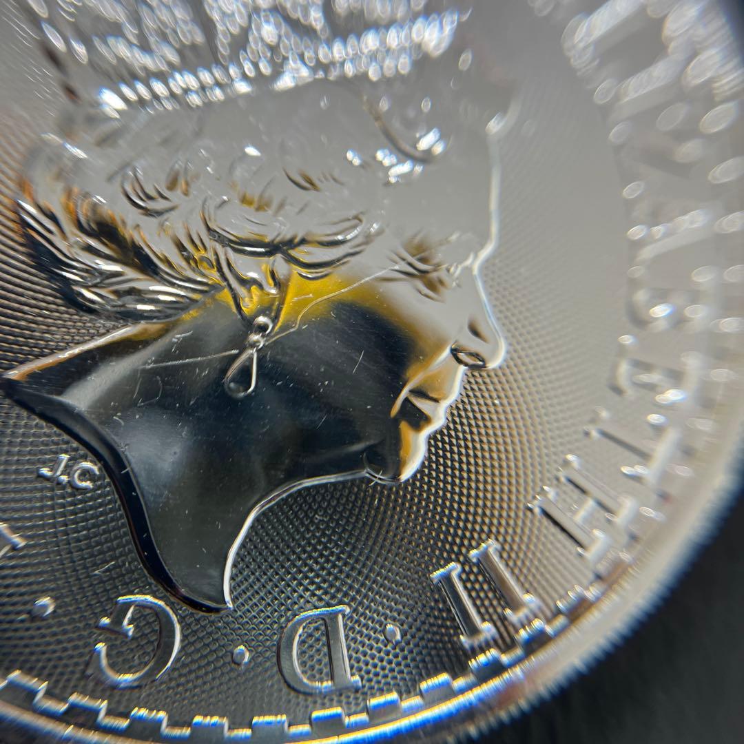 【純銀】2018年エリザベス2世ブリタニア　2ポンド銀貨　英国