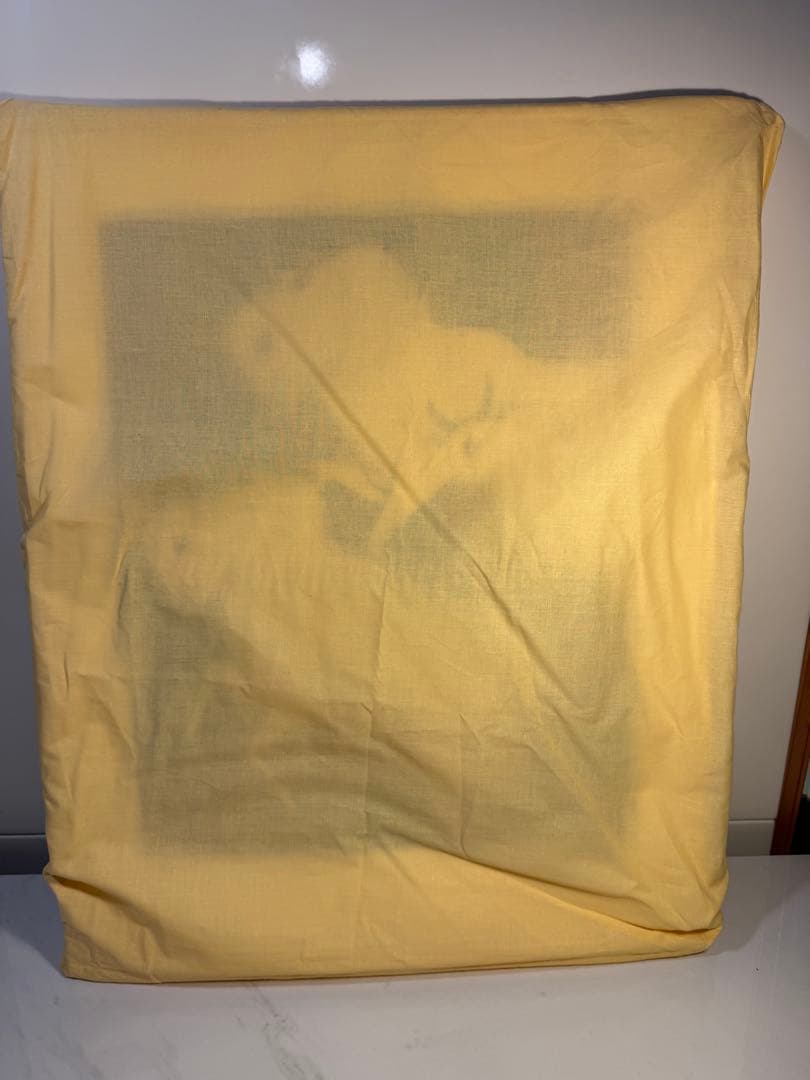 池田満寿夫 リトグラフ「白い牛」1992年 限定150部 額装品サイン入り