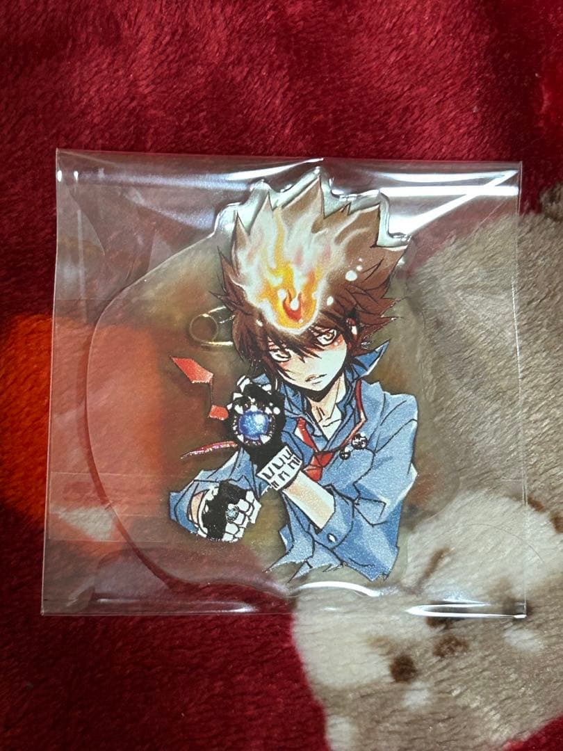 家庭教師ヒットマンREBORN 沢田綱吉 アクリルバッジ