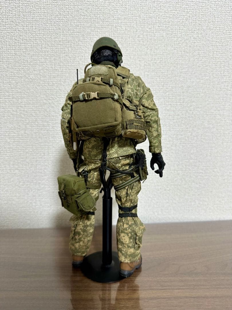 1/6 ミリタリー　カスタム　フィギュア　hottoys