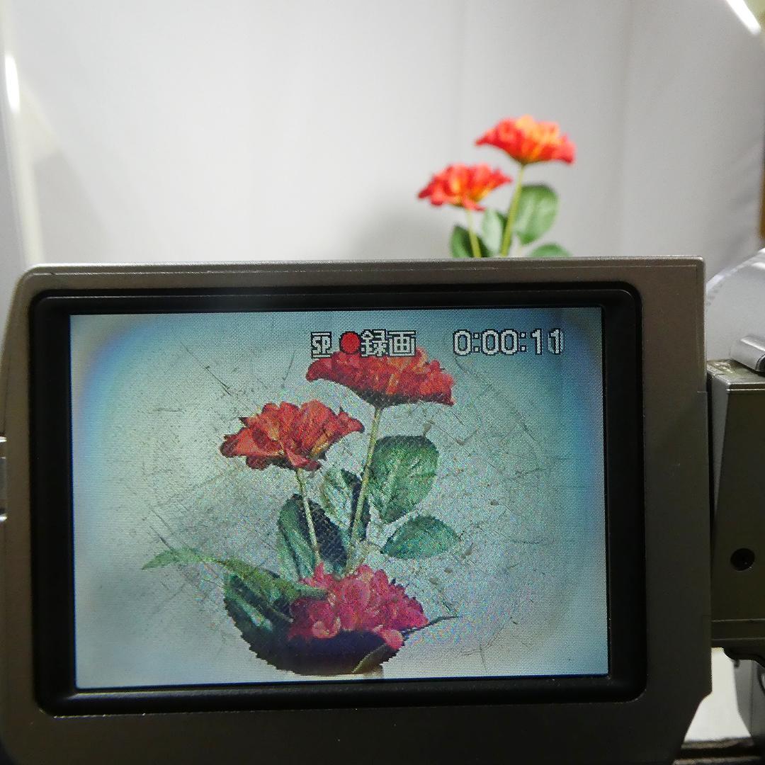 動作品ソニー DCR-TRV10 Mini DVビデオカメラDVDダビングに最適