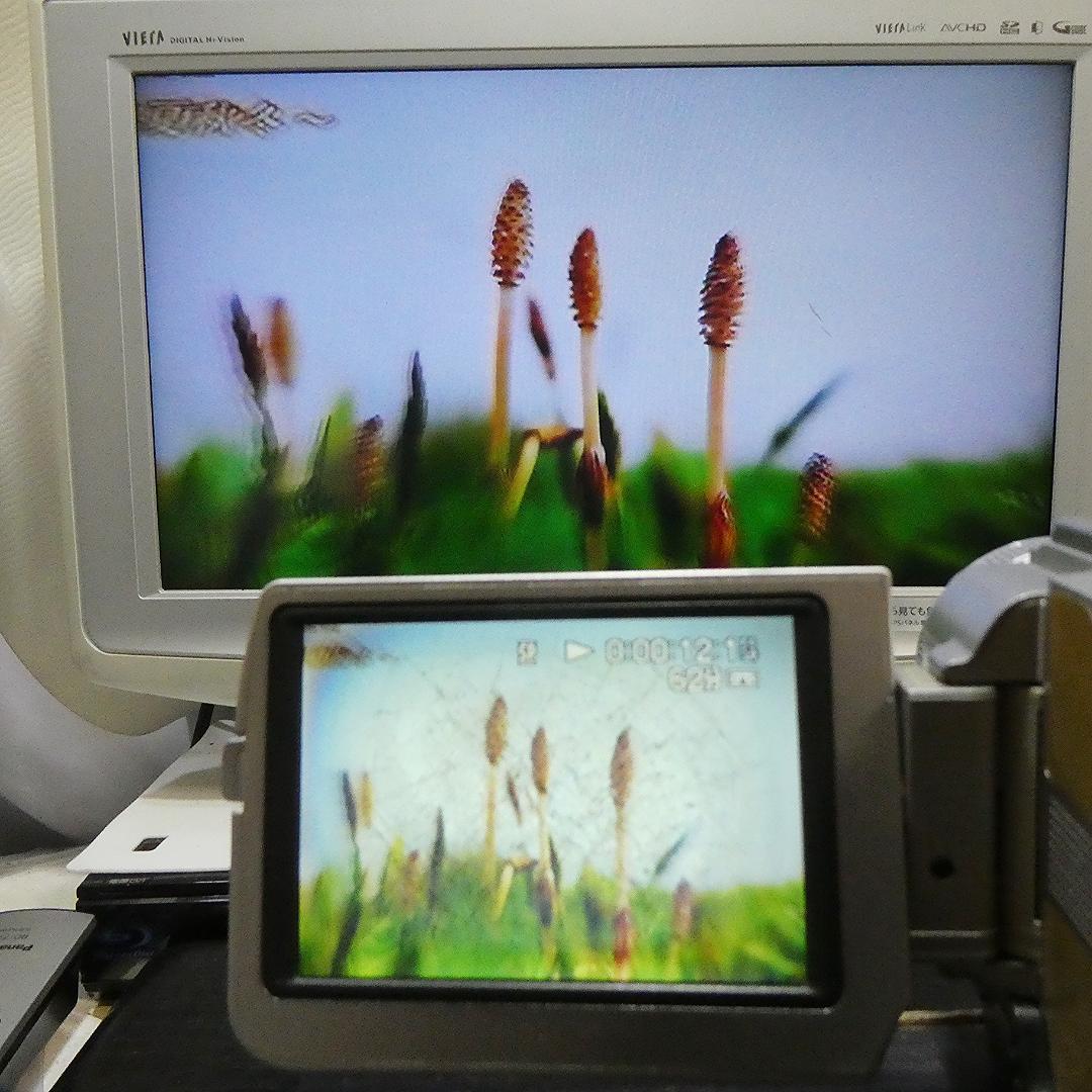 動作品ソニー DCR-TRV10 Mini DVビデオカメラDVDダビングに最適