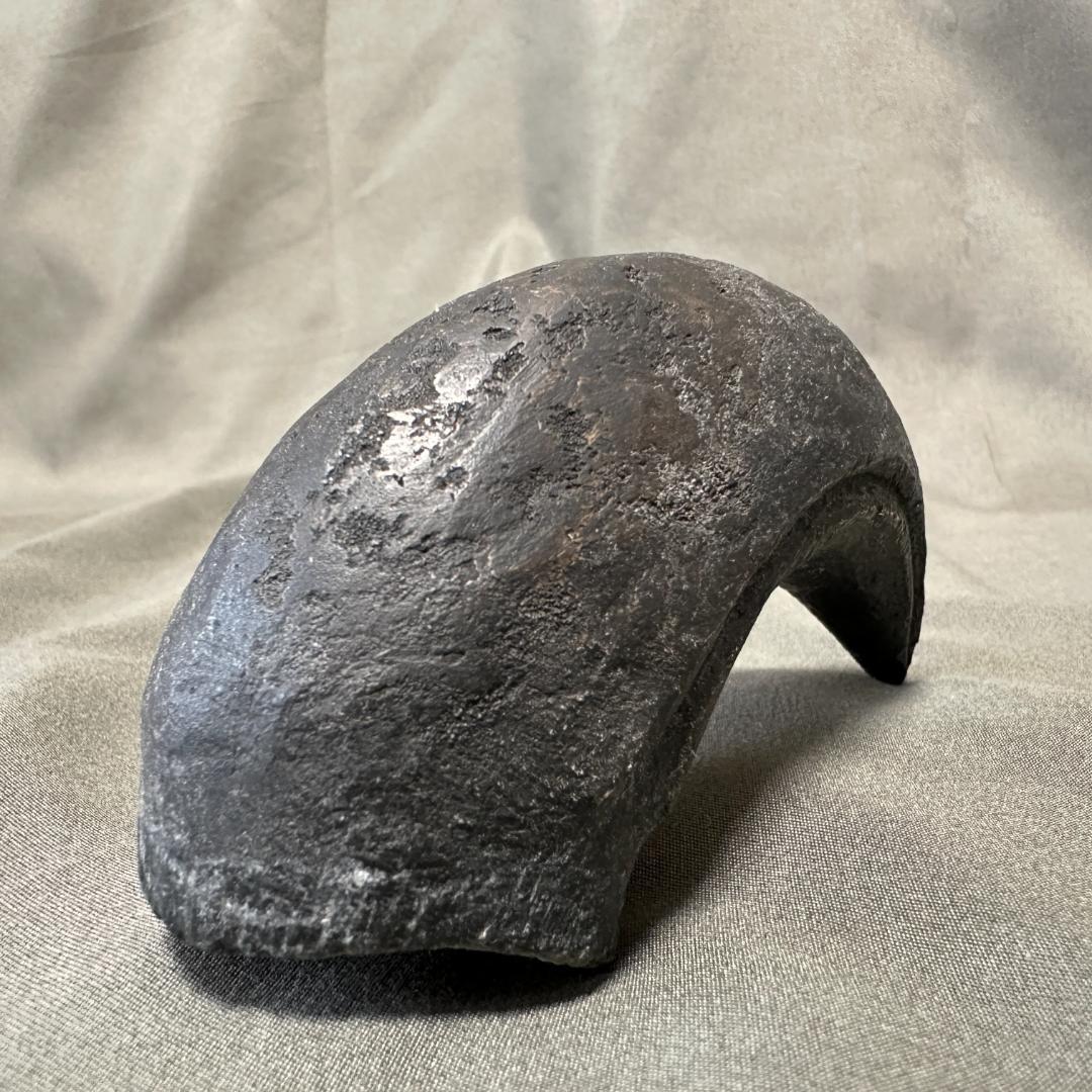 カルカロドントサウルス ハンドクロウ かぎ爪 化石 肉食恐竜 獣脚類 1516