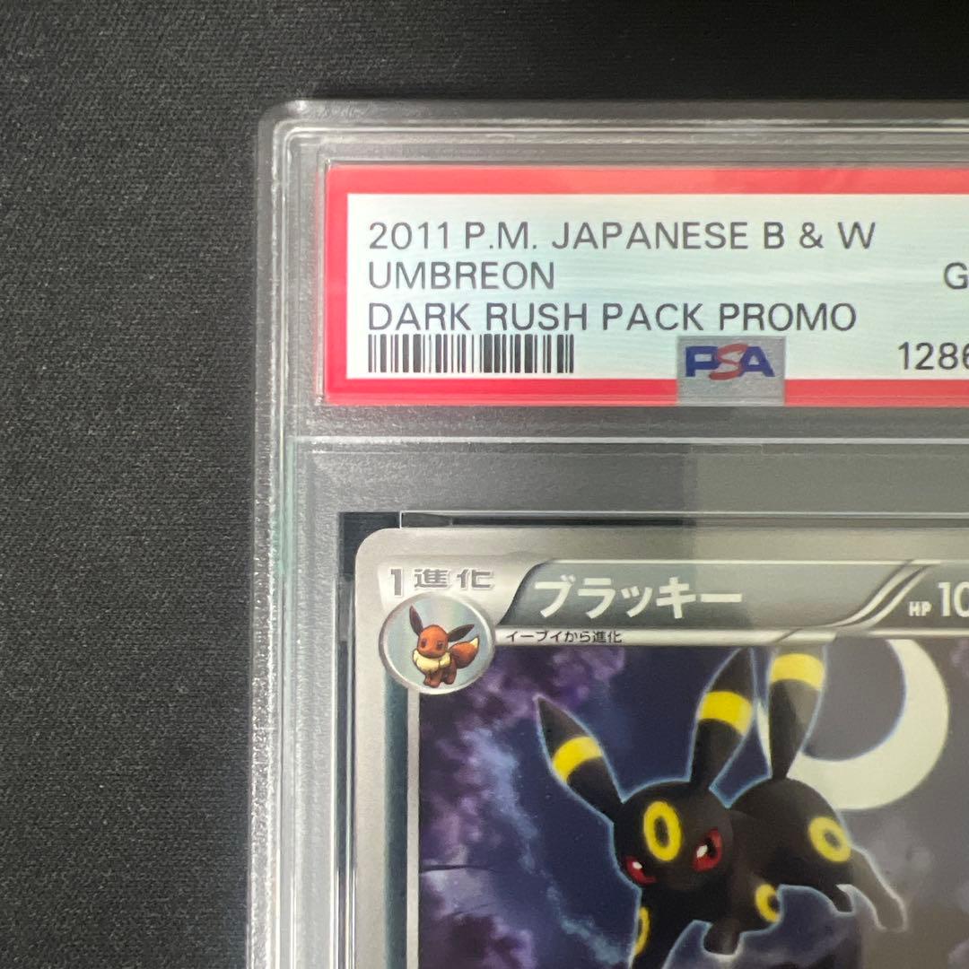 【PSA10】ブラッキー BW-Pプロモカード ダークラッシュ 115