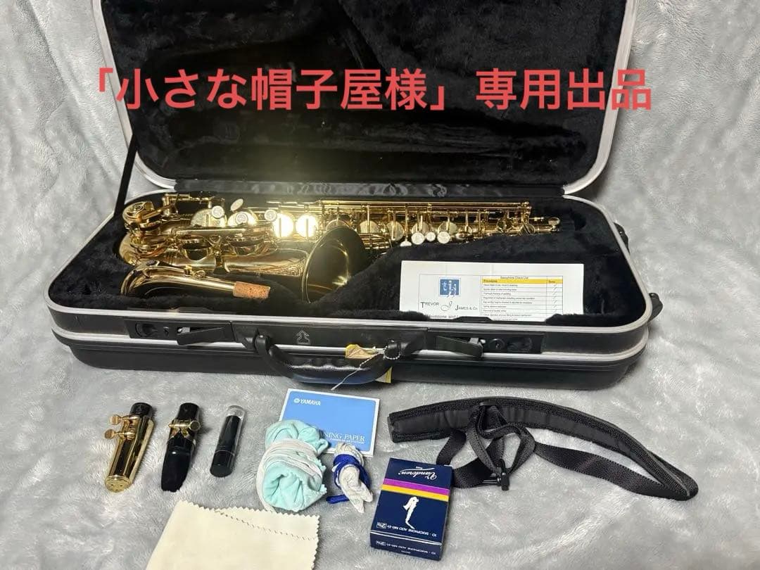 美品 トレバージェイムス アルトサックス THE HORN Revolution