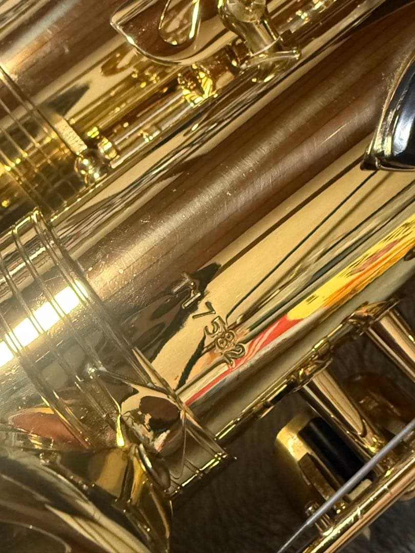 美品 トレバージェイムス アルトサックス THE HORN Revolution