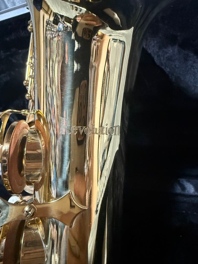 美品 トレバージェイムス アルトサックス THE HORN Revolution