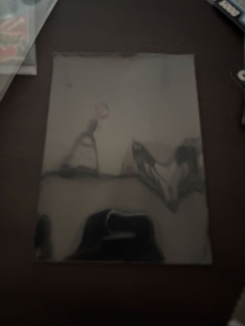 ガイアールオウドラゴン　スリーブ