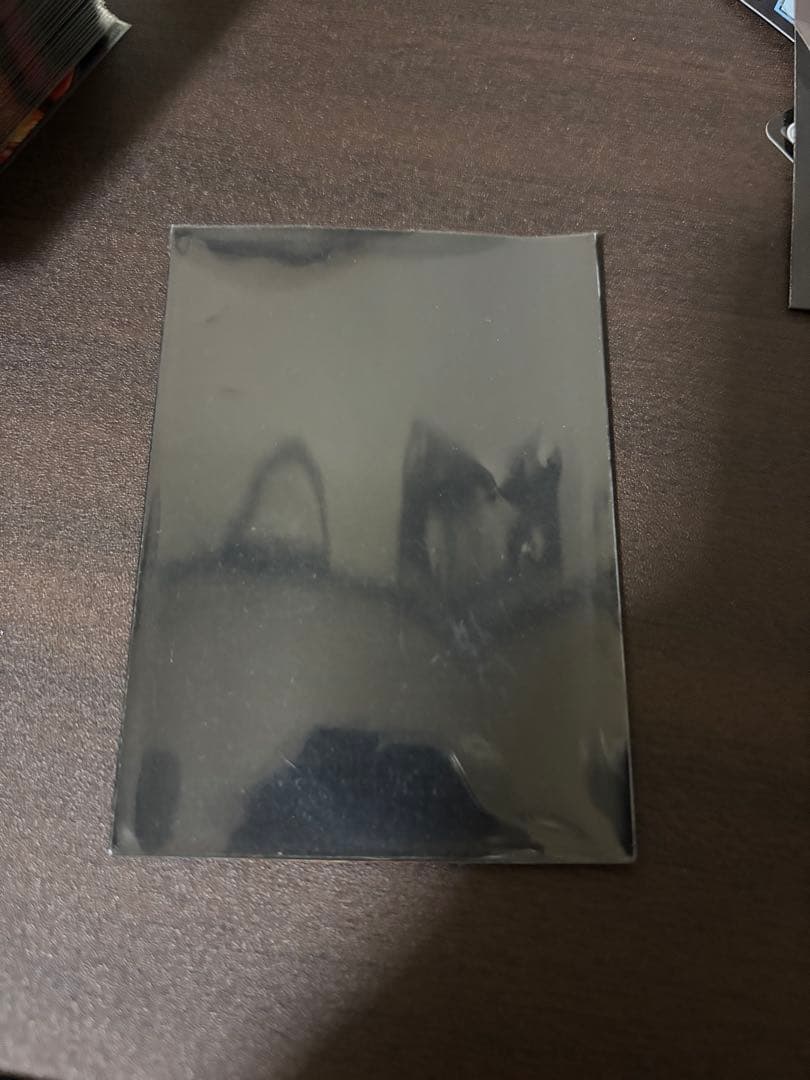 ガイアールオウドラゴン　スリーブ