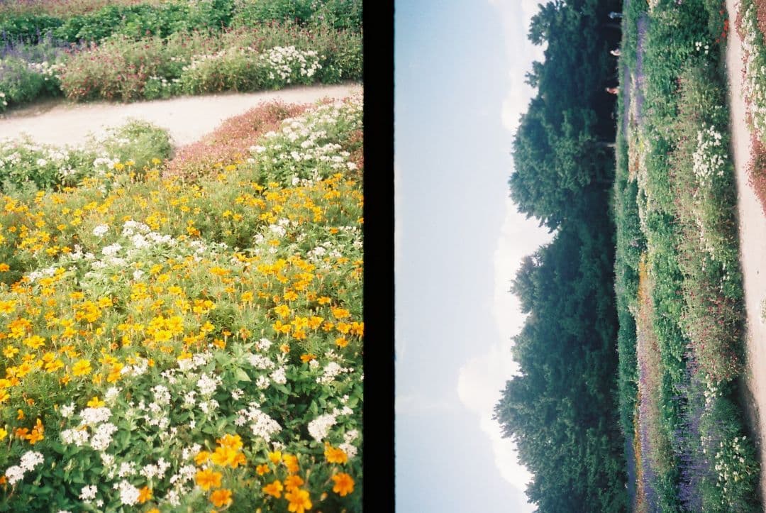 フィルムカメラ OLYMPUS PEN EE-2