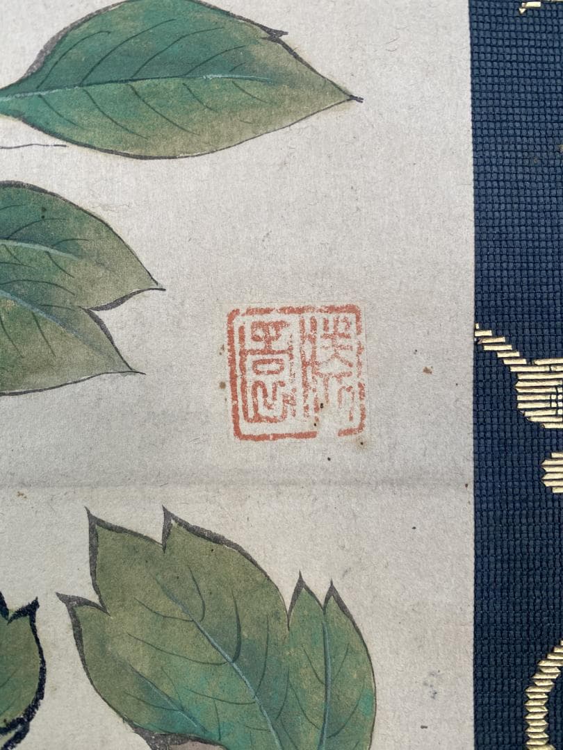 o*m様 橋本雅邦 勝園　牡丹図 天籟蔵 埼玉県 明治 大正 狩野派 日本美術院